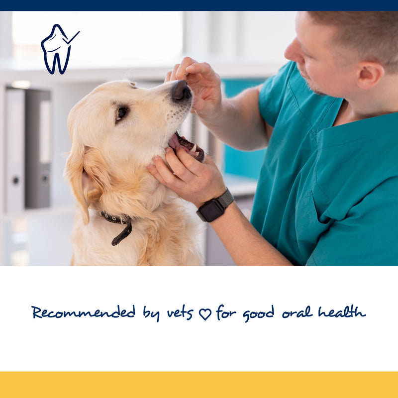 ProDen PlaqueOff® Soft Chews For Large and Giant Breed Dogs