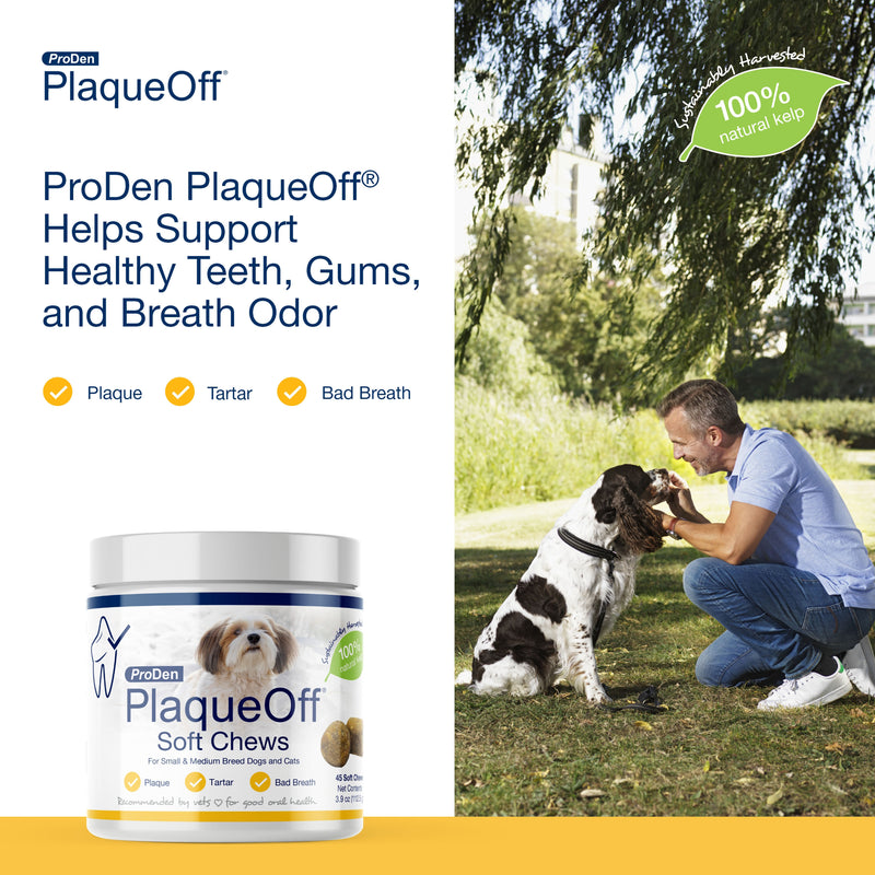 Prodeen ProDen PlaqueOff® Soft Chews For Small and Medium Breed Dogs – Petsense