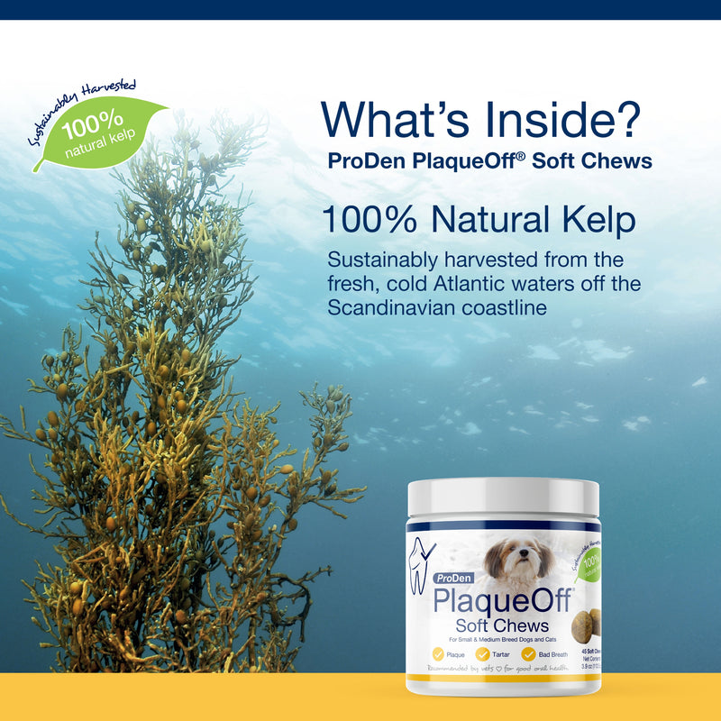 ProDen PlaqueOff® Soft Chews For Small and Medium Breed Dogs