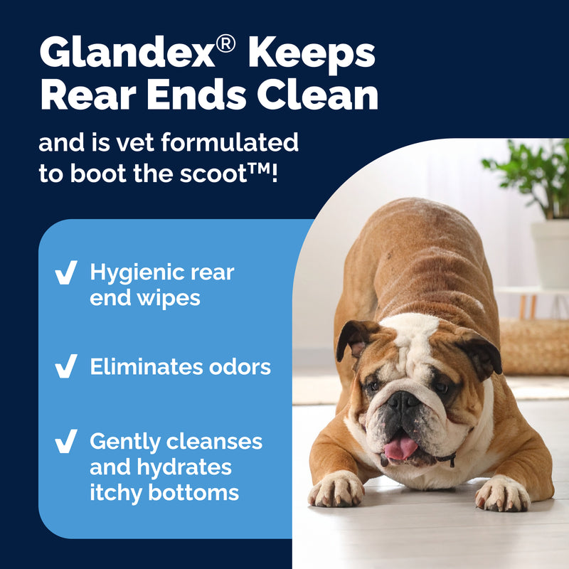 Glandex Rear-End Hygiene Wipes, 75 ct