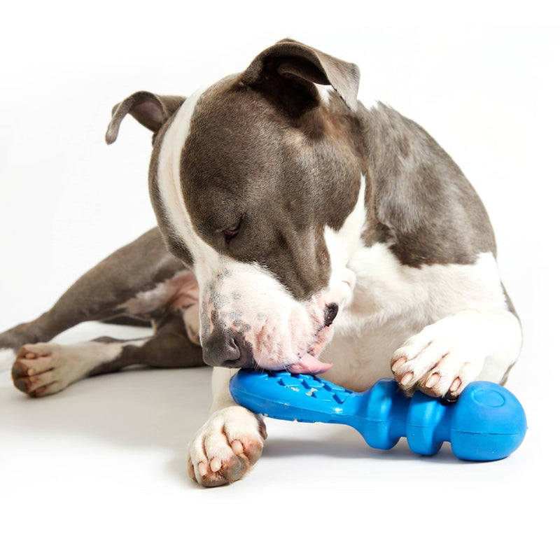 BARK Super Chewer P.B. Beaver durable rubber gray brown beaver dog toy M/L