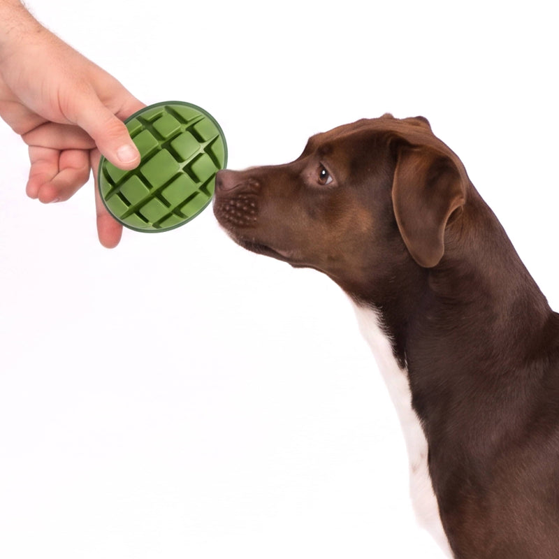 BARK Super Chewer Go Mango fruit green rubber dog toy L