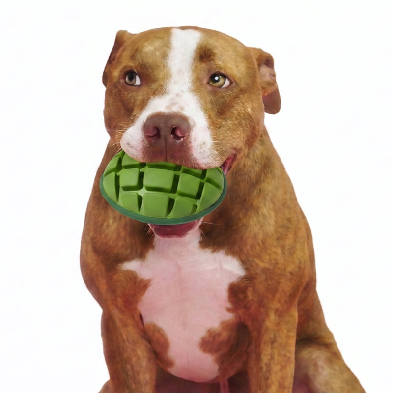 BARK Super Chewer Go Mango fruit green rubber dog toy L