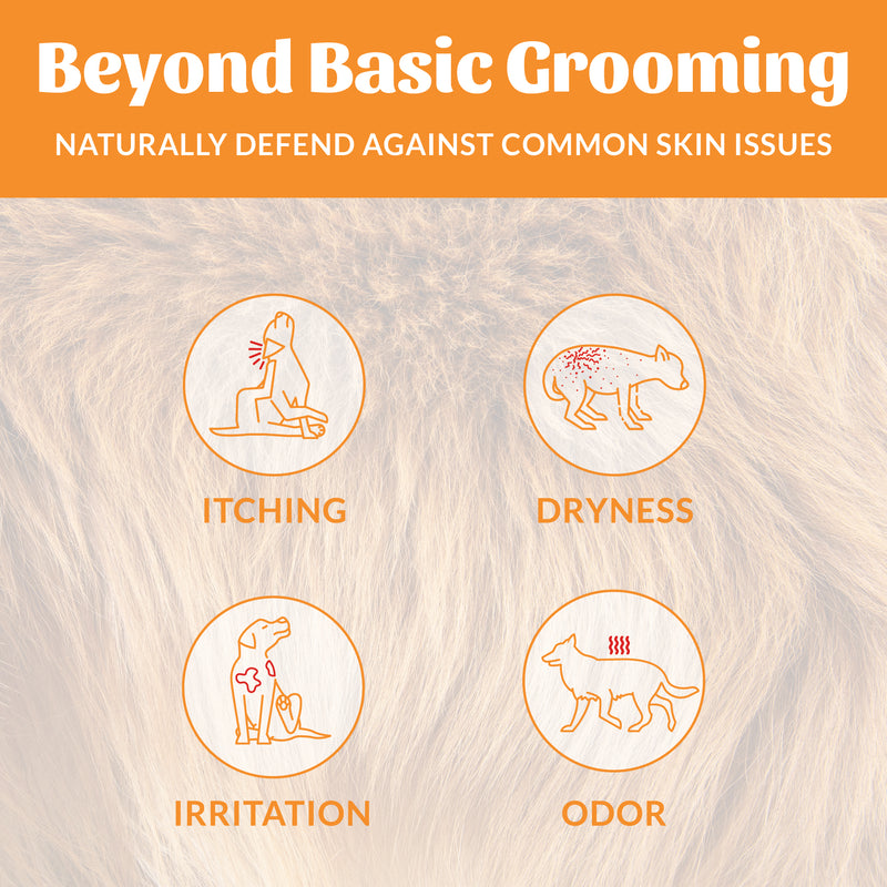 Skouts Honor Probiotic Shampoo Plus Conditioner Honeysuckle