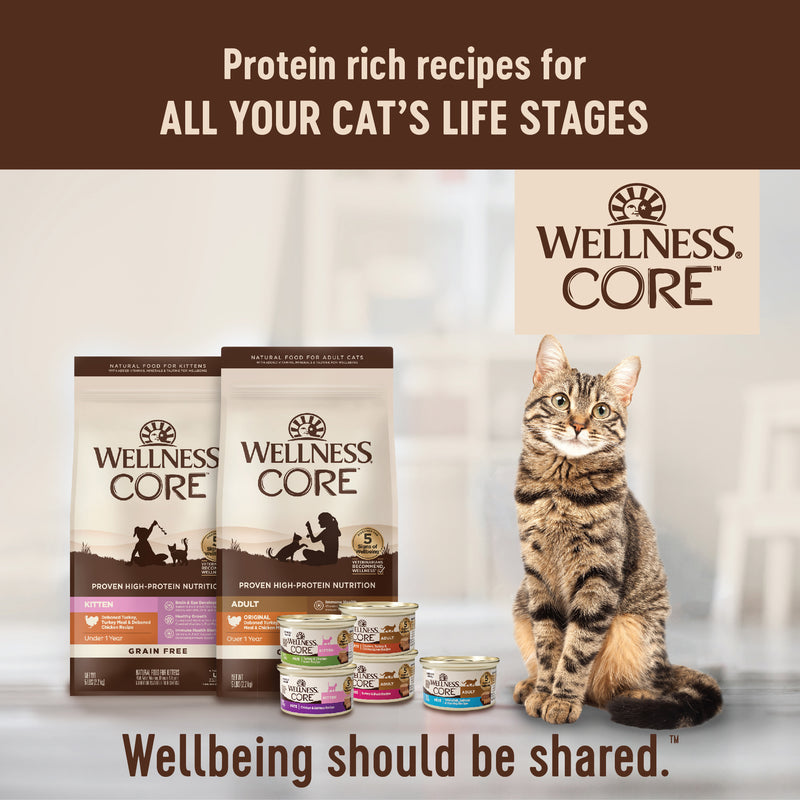Wellness CORE Tiny Tasters Pate Adult Wet Cat Food, Natural, Protein-Rich, Grain Free, 1.75-Ounce Pouch, 12 Pack, (Land Variety Pack)