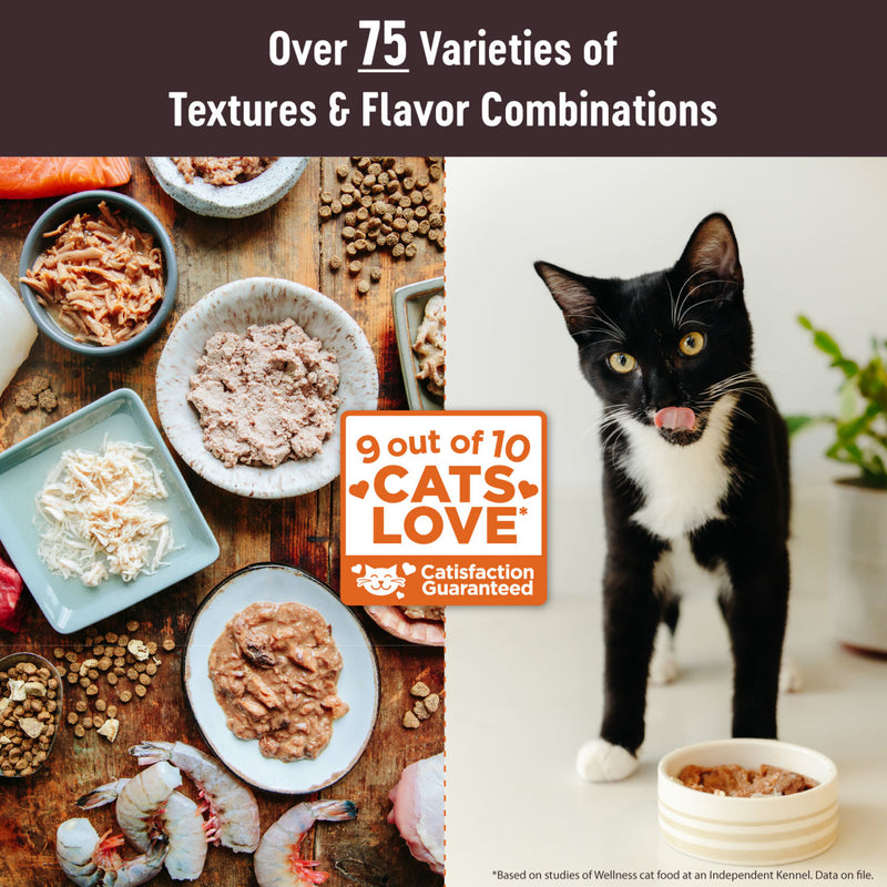 Wellness CORE Tiny Tasters Pate Adult Wet Cat Food, Natural, Protein-Rich, Grain Free, 1.75-Ounce Pouch, 12 Pack, (Seafood Variety Pack)