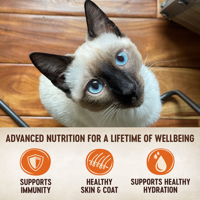 Wellness CORE Tiny Tasters Pate Adult Wet Cat Food, Natural, Protein-Rich, Grain Free, 1.75-Ounce Pouch, 12 Pack, (Seafood Variety Pack)