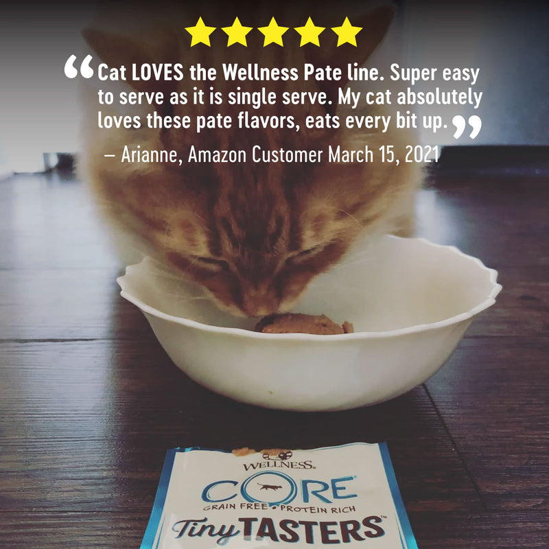 Wellness CORE Tiny Tasters Pate Adult Wet Cat Food, Natural, Protein-Rich, Grain Free, 1.75-Ounce Pouch, 12 Pack, (Seafood Variety Pack)