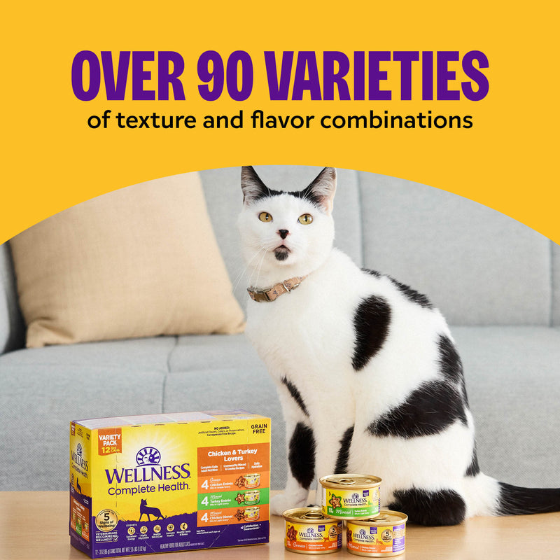 Wellness Complete Health Pate Adult Wet Cat Food, Protein-Rich, Grain-Free, 3 Ounce , 12 Pack, (Seafood Variety Pack)