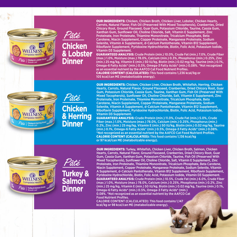 Wellness Complete Health Pate Adult Wet Cat Food, Protein-Rich, Grain-Free, 3 Ounce , 12 Pack, (Seafood Variety Pack)