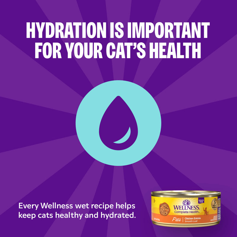 Wellness Complete Health Pate Adult Wet Cat Food, Protein-Rich, Grain Free, 3 Ounce , 12 Pack, (Chicken & Turkey Favorites Variety Pack)