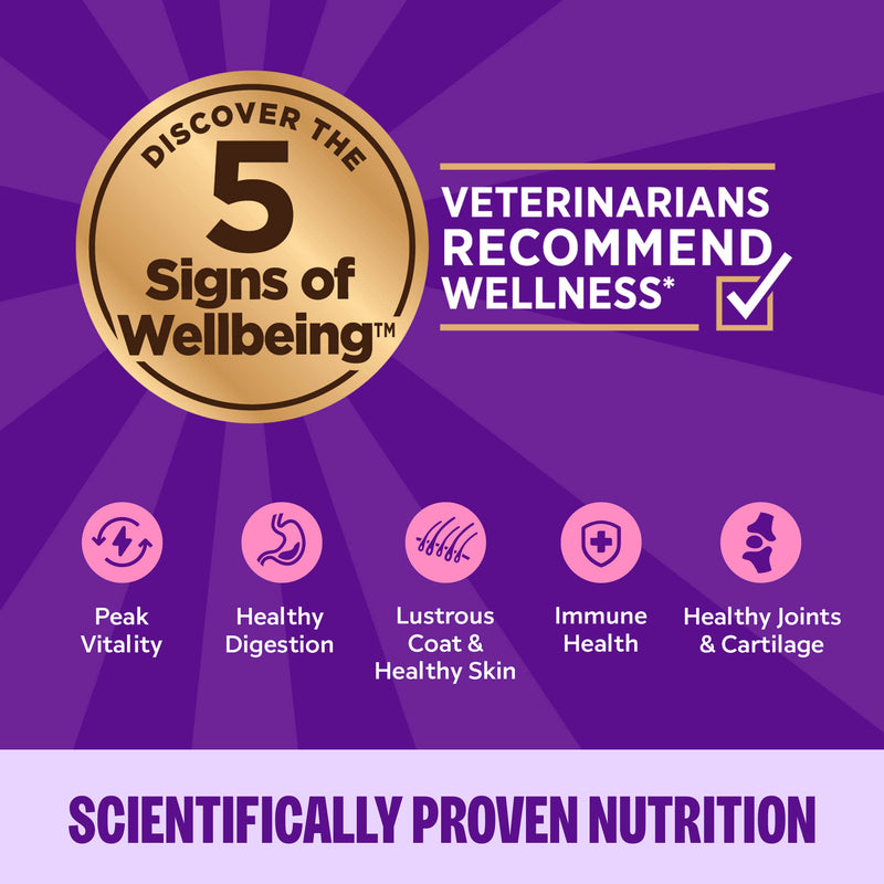 Wellness Complete Health Pate Adult Wet Cat Food, Protein-Rich, Grain Free, 3 Ounce , 12 Pack, (Chicken & Turkey Favorites Variety Pack)