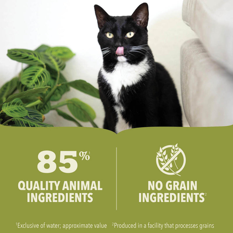 ACANA Premium Pate Wet Cat Food in Bone Broth Chicken + Fish Recipe 3oz Cans
