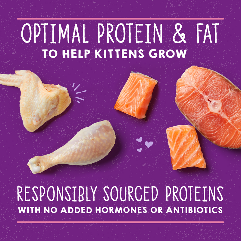 Stella & Chewy's Carnivore Cravings Purrfect Pate Kitten - Chicken & Salmon Recipein Broth Wet Cat Food- 2.8 Ounce Can