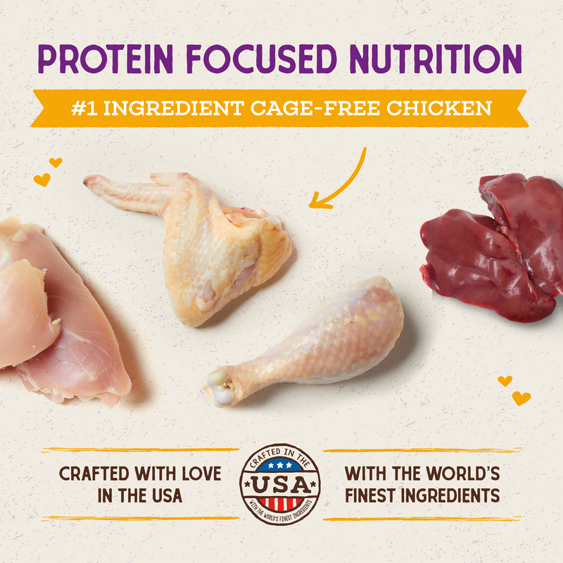 Stella & Chewy's Baked Kibble for Cats - Raw Coated Kitten Cage-Free Chicken Recipe - 5 Pound Bag