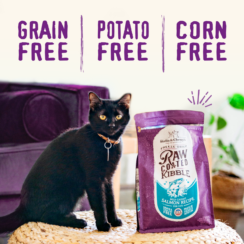 Stella & Chewy's Baked Kibble for Cats - Raw Coated Kitten Cage-Free Chicken Recipe - 5 Pound Bag