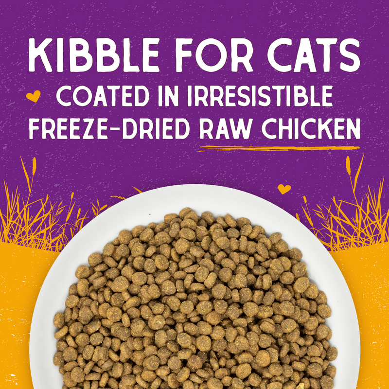 Stella & Chewy's Baked Kibble for Cats - Raw Coated Kitten Cage-Free Chicken Recipe - 5 Pound Bag