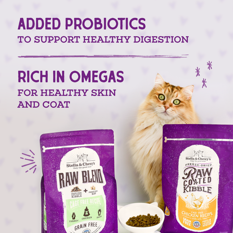 Stella & Chewy's Baked Kibble for Cats - Raw Coated Kitten Cage-Free Chicken Recipe - 5 Pound Bag