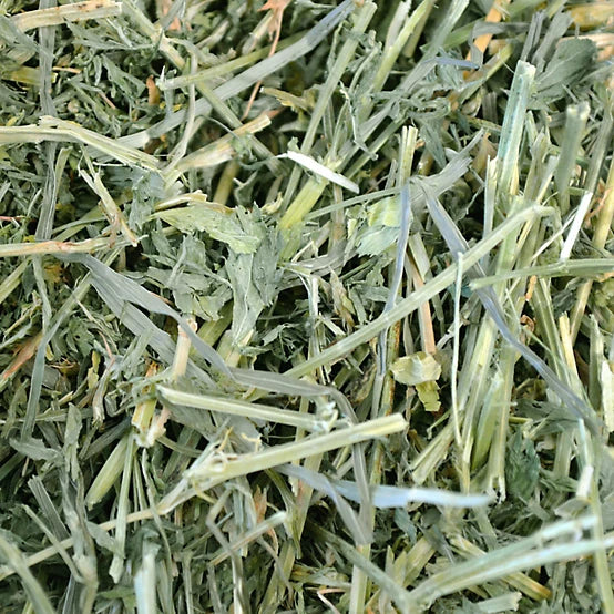 Oxbow Animal Health Alfalfa Hay Small Animal Treat, 40 oz.