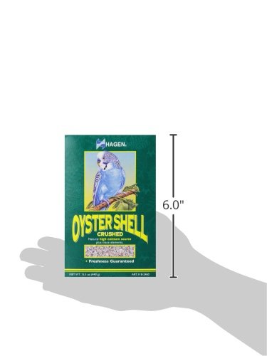 Hari Oyster Shells 15.5oz