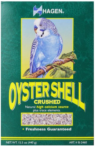Hari Oyster Shells 15.5oz