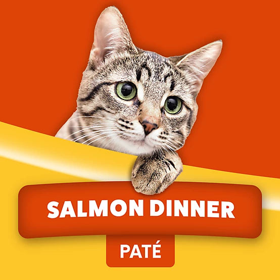 Paws & Claws Adult Salmon Dinner Pate Wet Cat Food, 5.5 oz.