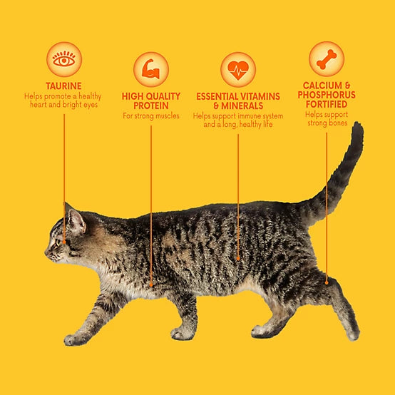Paws & Claws Adult Indoor/Outdoor Delicious Mix Chicken, Salmon, Turkey and Tuna Formula Dry Cat Food, 26lb