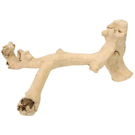 A&E Cage Medium Java Wood Reptile Branch