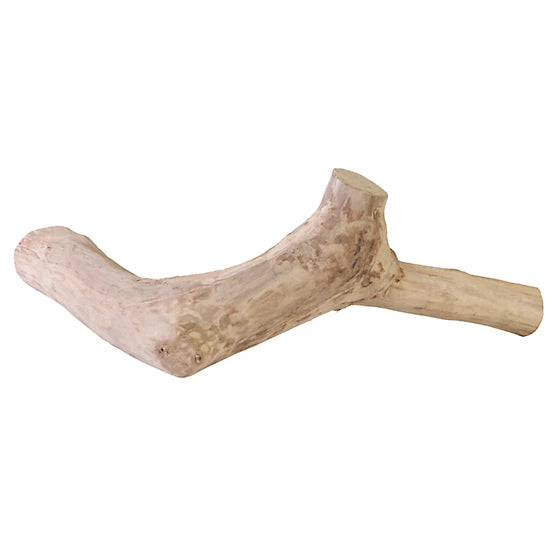 A&E Cage Small Java Wood Reptile Branch