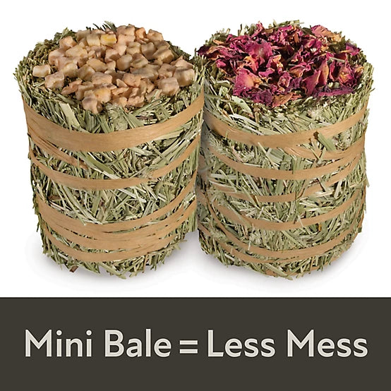 Kaytee Field+Forest Mini Hay Bales Apple and Rose, 7 oz., 2 pk.