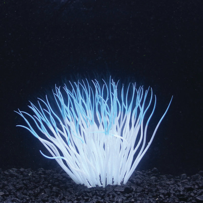Penn-Plax Aqua-Plants Artificial Soft Silicone Sea Anemone Fish Tank and Aquarium Decor  – Blue