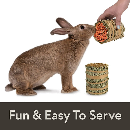 Kaytee Field+Forest Mini Hay Bales Carrot & Marigold Small Animal Treats, 7 oz. 2 pk.