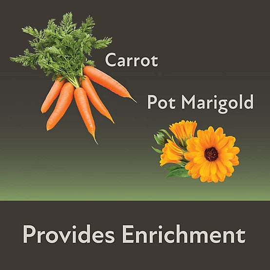 Kaytee Field+Forest Mini Hay Bales Carrot & Marigold Small Animal Treats, 7 oz. 2 pk.
