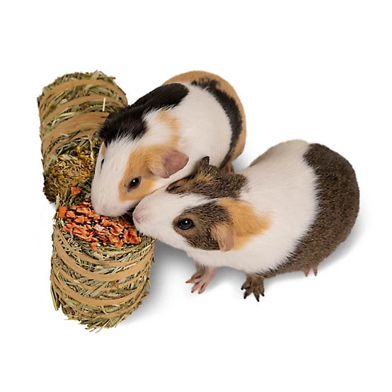 Kaytee Field+Forest Mini Hay Bales Carrot & Marigold Small Animal Treats, 7 oz. 2 pk.