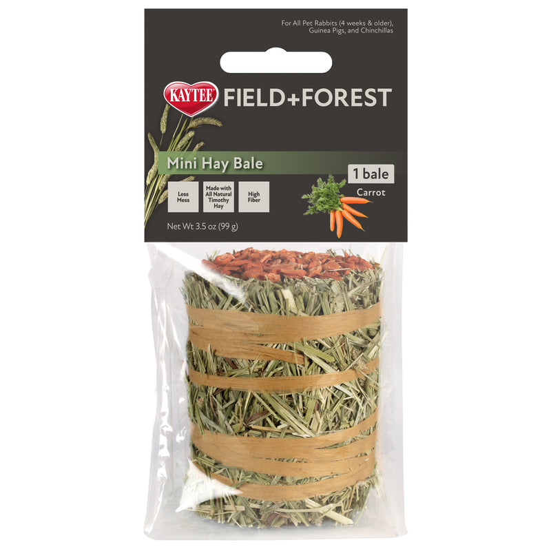 Kaytee Field+Forest Mini Hay Bale Carrot 3.5 oz
