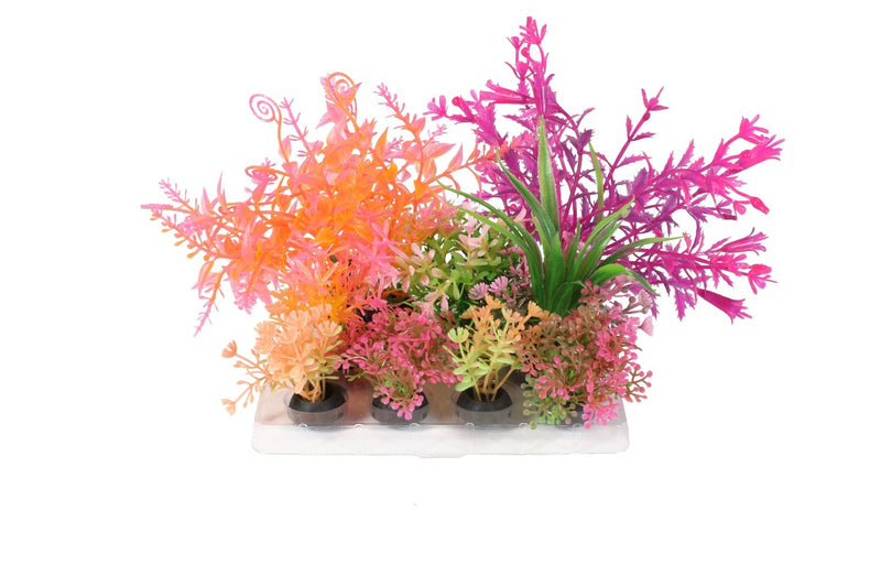 Penn-Plax Tide & Treasure™ Plant Decorating Kit - 6-Piece - Bright & Vivid Colors