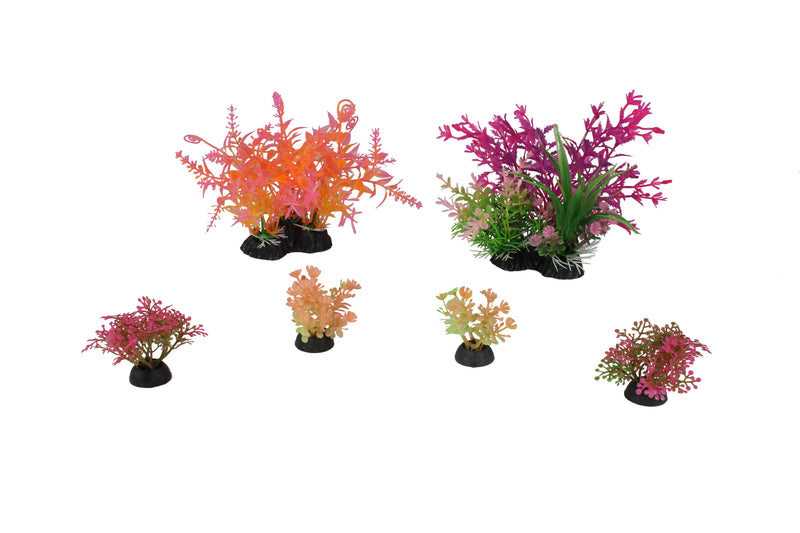 Penn-Plax Tide & Treasure™ Plant Decorating Kit - 6-Piece - Bright & Vivid Colors