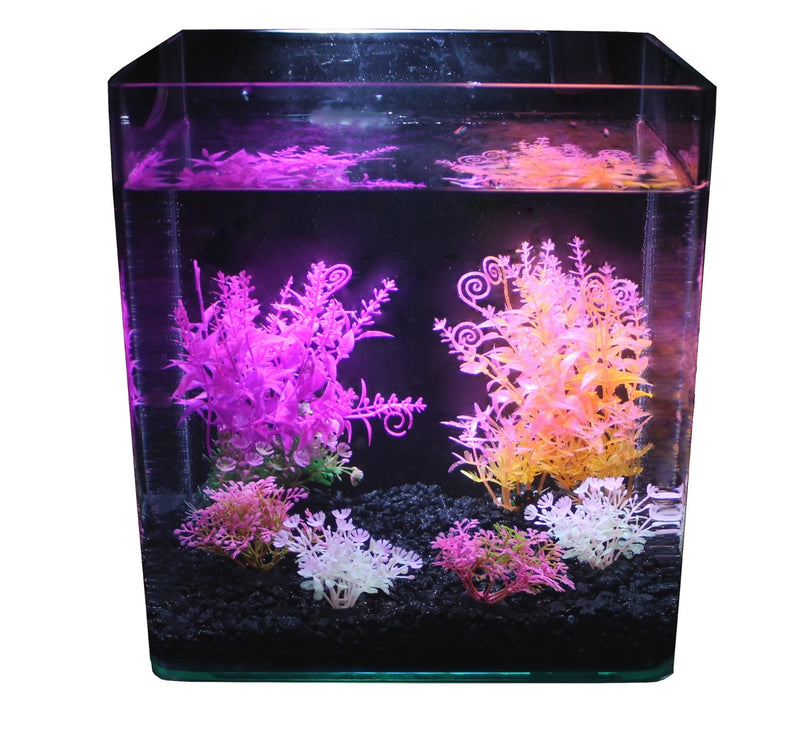 Penn-Plax Tide & Treasure™ Plant Decorating Kit - 6-Piece - Bright & Vivid Colors