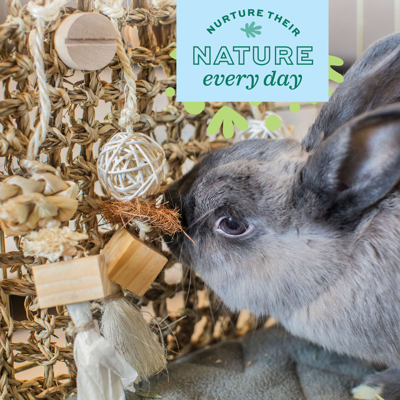 Oxbow Animal Health Play Wall Small