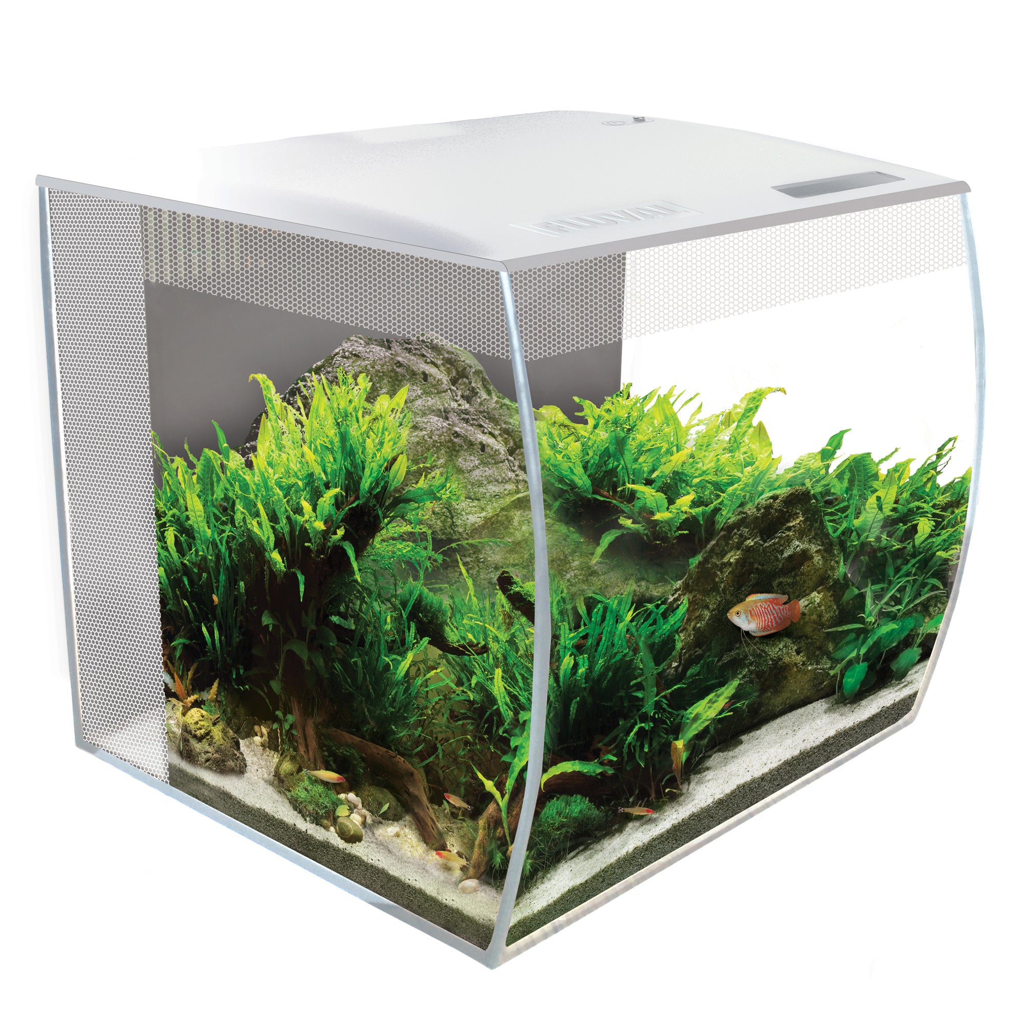 FLUVAL FLEX(フルーバル フレックス) Fluval Flex 9 Aquarium Kit, White – Petsense