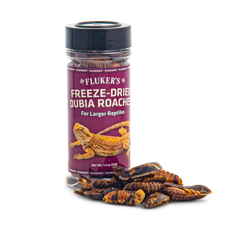 Fluker's Freeze Dried Dubia Roaches Reptile Food