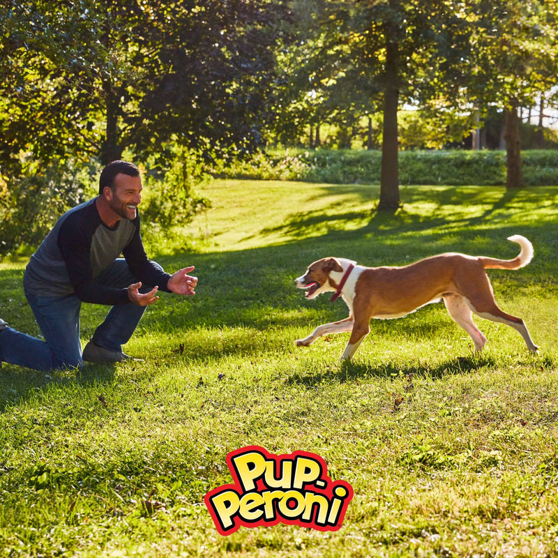 Pup-Peroni Filet Mignon & Bacon Flavor Dog Treats
