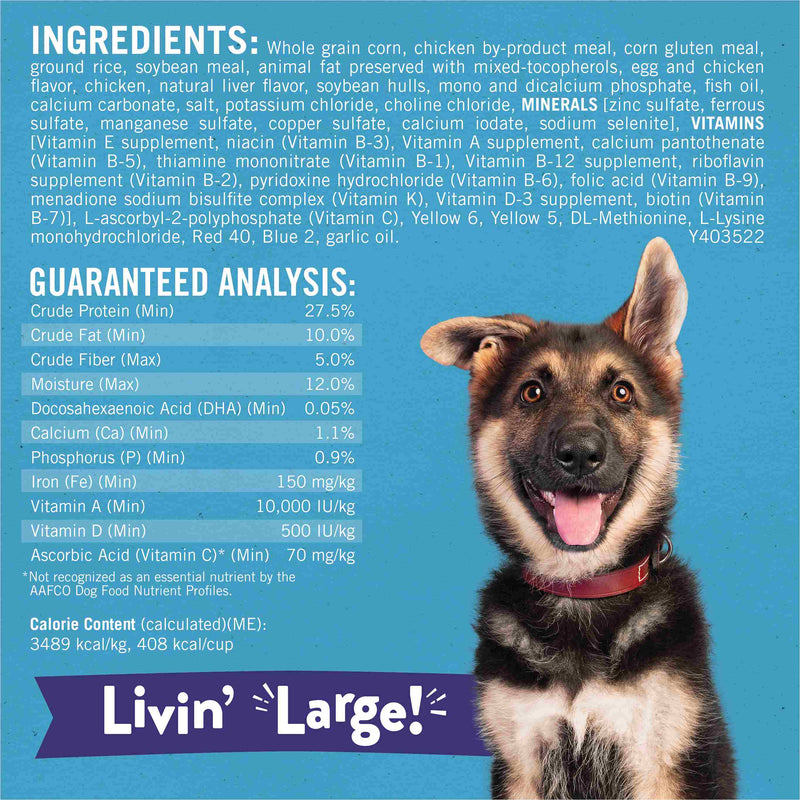 Purina Puppy Chow High Protein Large Breed Puppy Food Dry With Real Chicken