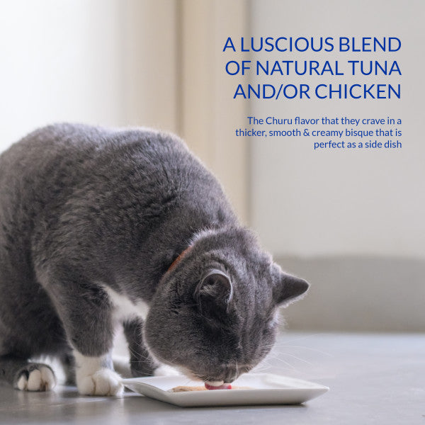 Inaba Churu Chicken Bisque Lickable Cat Treat