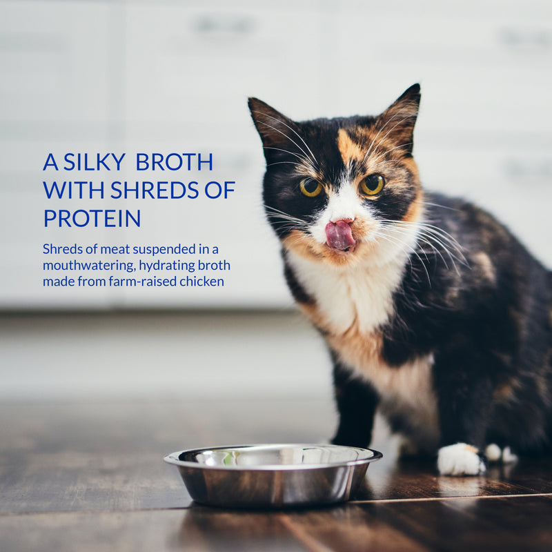 Inaba Churu Chicken and Tuna Broth Pouch Cat Treat