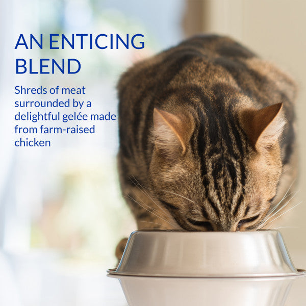 Inaba Churu Chicken and Tuna Stew Lickable Cat Treat