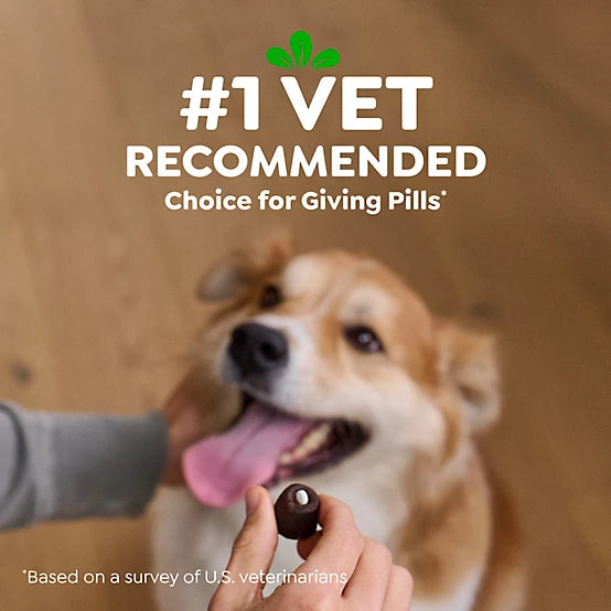 Greenies Pill Pockets Peanut Butter Flavor Pill Hiding Treats for Dogs