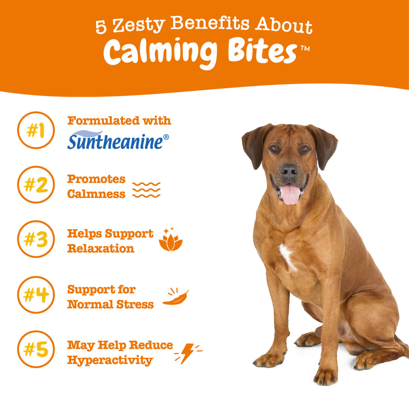 Zesty Paws Dog Advanced Calming Bites,  Turkey, 60CT