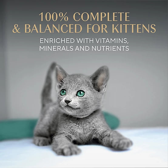 Sheba Perfect Portions Kitten Chicken/Salmon Pate Wet Cat Food Variety Pack, 2.6 oz., Pack of 24 Twin-Pack Trays