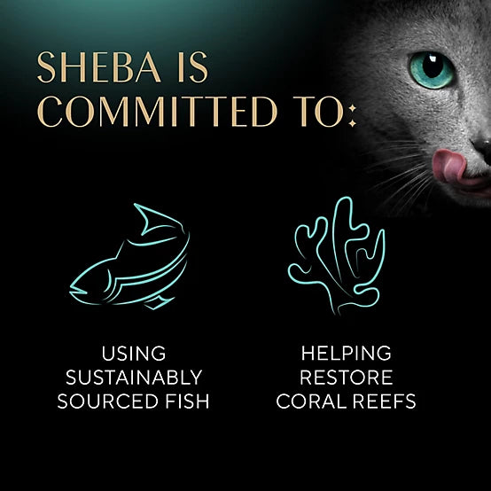 Sheba Perfect Portions Kitten Chicken/Salmon Pate Wet Cat Food Variety Pack, 2.6 oz., Pack of 24 Twin-Pack Trays